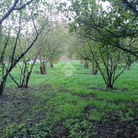 TER. AGRICOLO A GROTTOLELLA