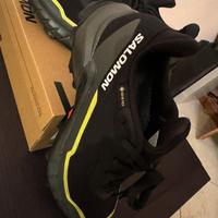 Salomon Alphacross 5 GTX