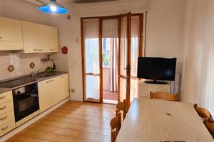 Appartamento in pineta 200mt dal mare