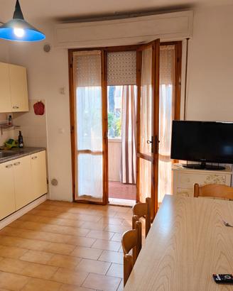 Appartamento in pineta 200mt dal mare