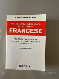 dizionario e grammatica elementare francese