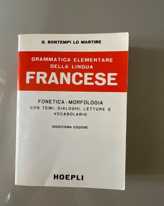 dizionario e grammatica elementare francese