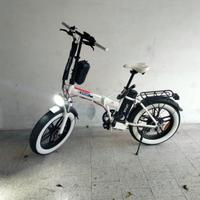 bicicletta elettrica fat bike 