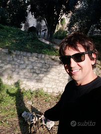 Domestico badante autista custode tutto fare