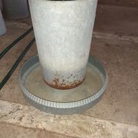 Mangiatoie  X  allevamenti