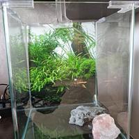 Acquario 30litri