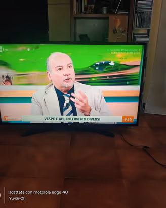 TV 49 pollici LG smart wifi 