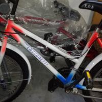 Bici MTB i 8 / 12 anni