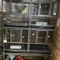 2 voliere con divisorio