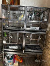 2 voliere con divisorio