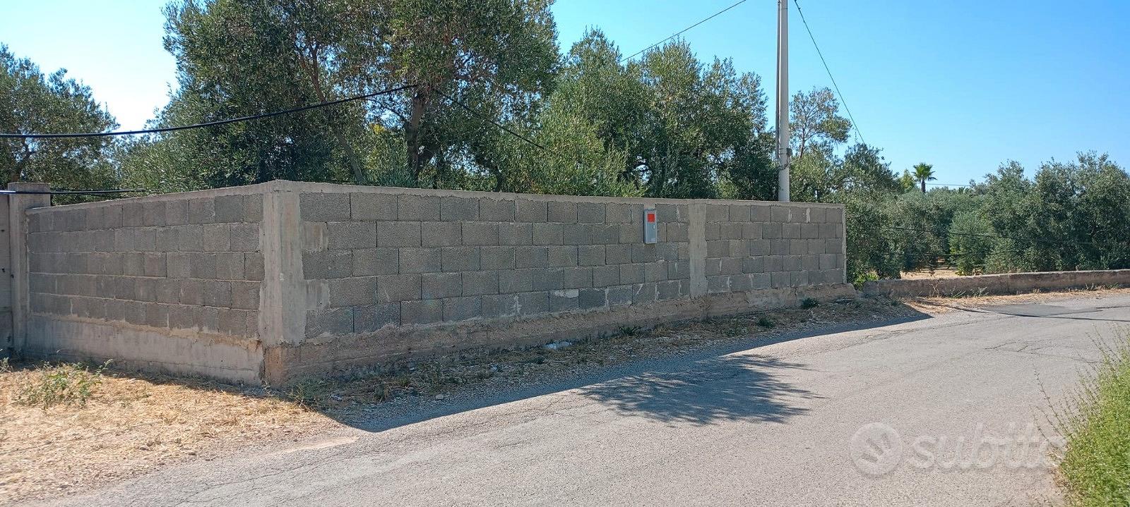 TERRENO OLIVETO SP2 (Terlizzi-Ruvo di Puglia) - Vista 2
