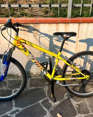 Bici Mountain Bike ragazzo