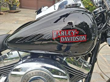 Harley Davidson Softail custom