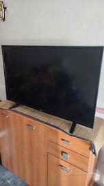 LG 43 Pollici  con difetto (no smart)