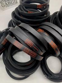 Cinghia Trasmissione 