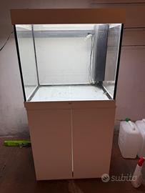 Acquario
