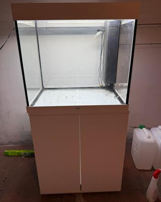 Acquario