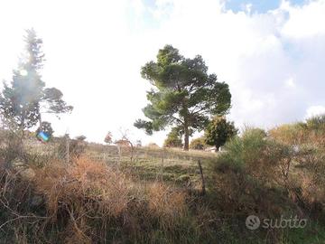 RGE 39/2017 Trib ENNA - LOTTO 3