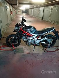 Suzuki SFV Gladius 650 - 2012