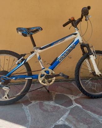 Bicicletta