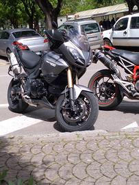 Triumph Tiger 