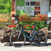 giant propel advanced pro 0 - 2019