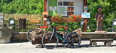 giant propel advanced pro 0 - 2019