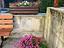 Immagine 25