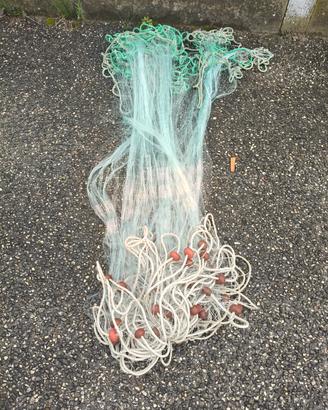 reti da pesca barracuda 