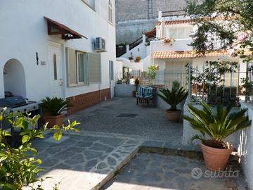 ? appartamento semi-indipendente con corte e depo