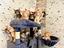 Immagine 4