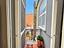 Immagine 11