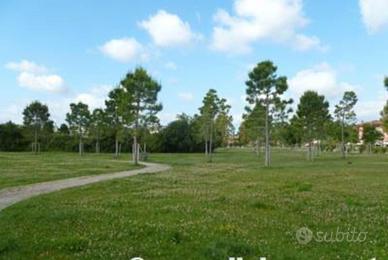 Grosseto appartamento pentalocale 2 bagni