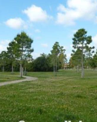 Grosseto appartamento pentalocale 2 bagni
