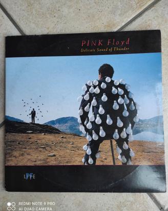 Vinile Pink Floyd 