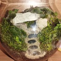 Terrari artigianali su richiesta
