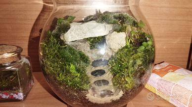 Terrari artigianali su richiesta