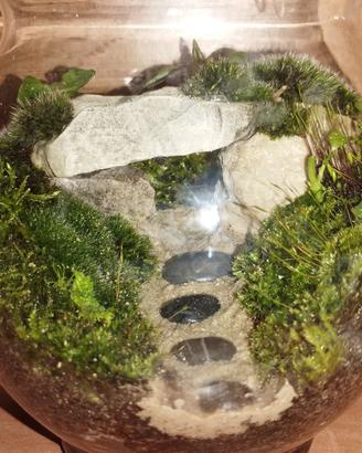 Terrari artigianali su richiesta