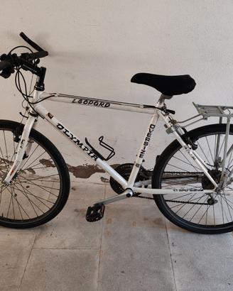 Mountain bike da adulto e da ragazzo