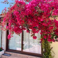 In zona esclusiva e con super vista mare