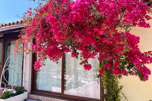 In zona esclusiva e con super vista mare