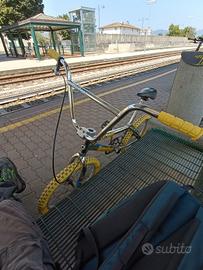 BMX Diamondback ignitor