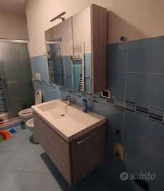 mobiletto del bagno 