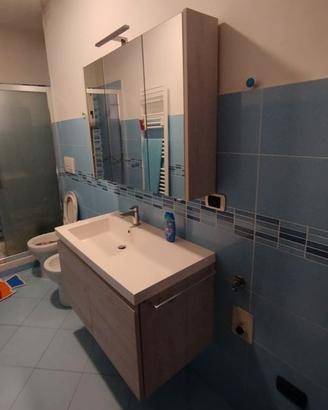 mobiletto del bagno 
