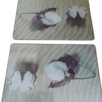 Due taglieri in vetro temperato Ambi Pur