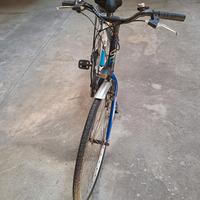 bicicletta 