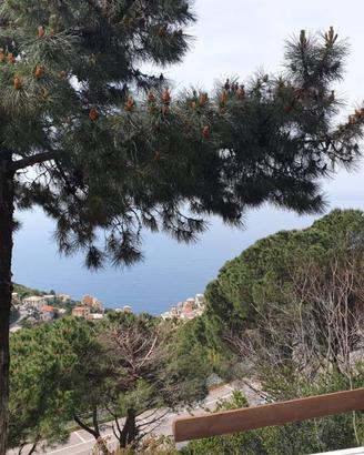 Rustico / Casale di 36 m² con 2 locali a Riomaggio