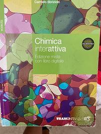 Libro “Chimica interattiva”