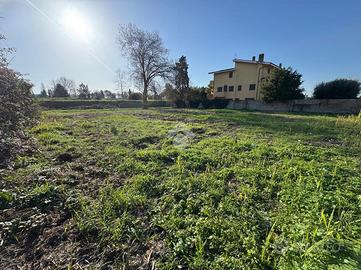 TER. AGRICOLO A ROMA