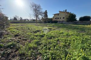 TER. AGRICOLO A ROMA